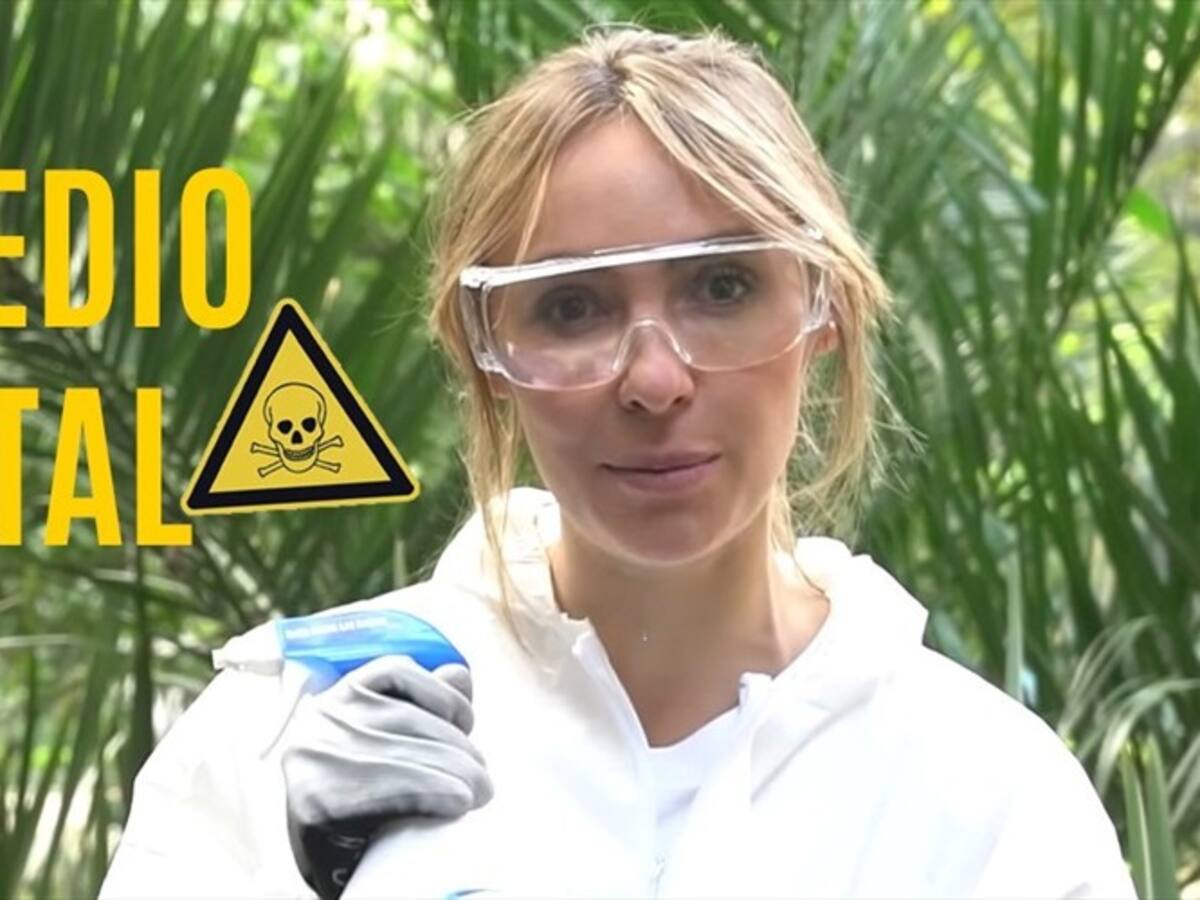 ¿Volver a la aspersión aérea con glifosato? Peor el remedio que la enfermedad