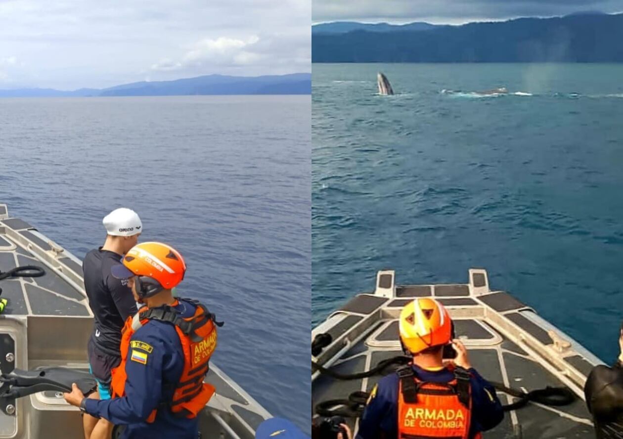 Foto: Cortesía Armada.