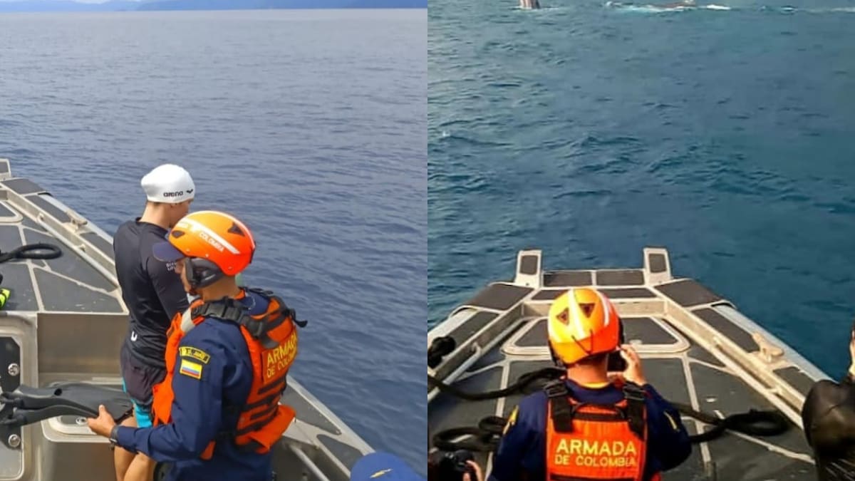 Video: liberan a ballena que se había enredado con una malla en Bahía Solano