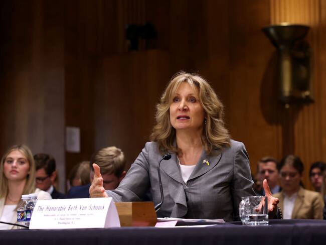 Beth van Schaack. Foto: Kevin Dietsch/Getty Images.