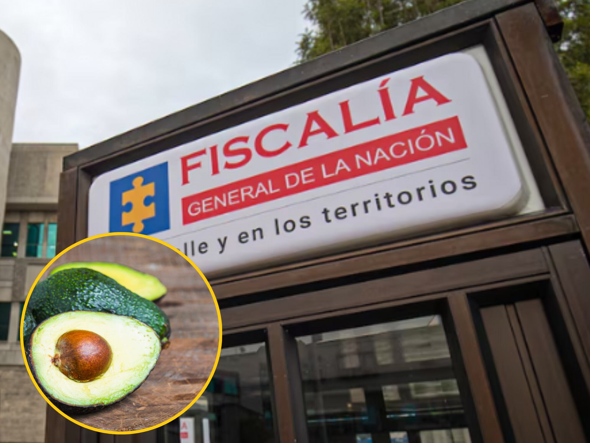 Imágenes de referencia. Getty Images.