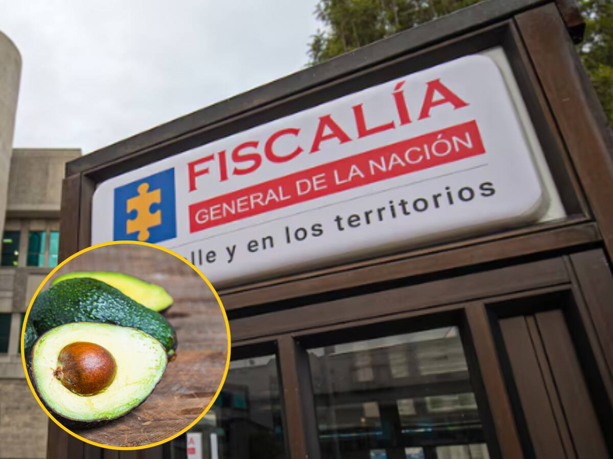 Empresa aguacatera que habría sido usada para lavar activos del narcotráfico es afiliada a Corpohass