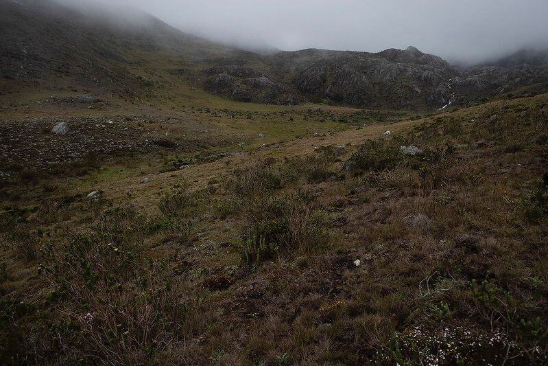 Páramo de Santurbán. Foto: Ministerio de Ambiente