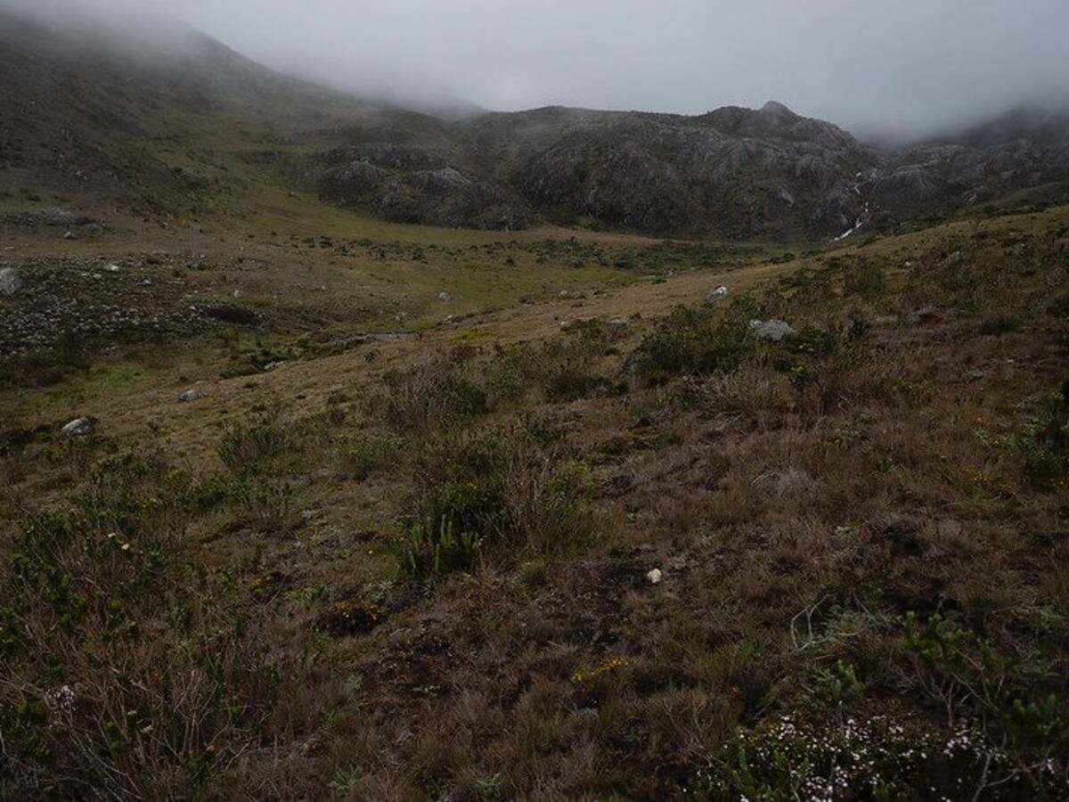 Proyecto para declarar zona de reserva temporal el Macizo de Santurbán, a consulta pública
