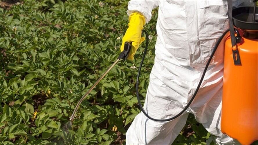 Según Arias los 15 días sin IVA podría ser aplicado también en implementos como empaques y logística como el transporte.. Foto: Getty Images