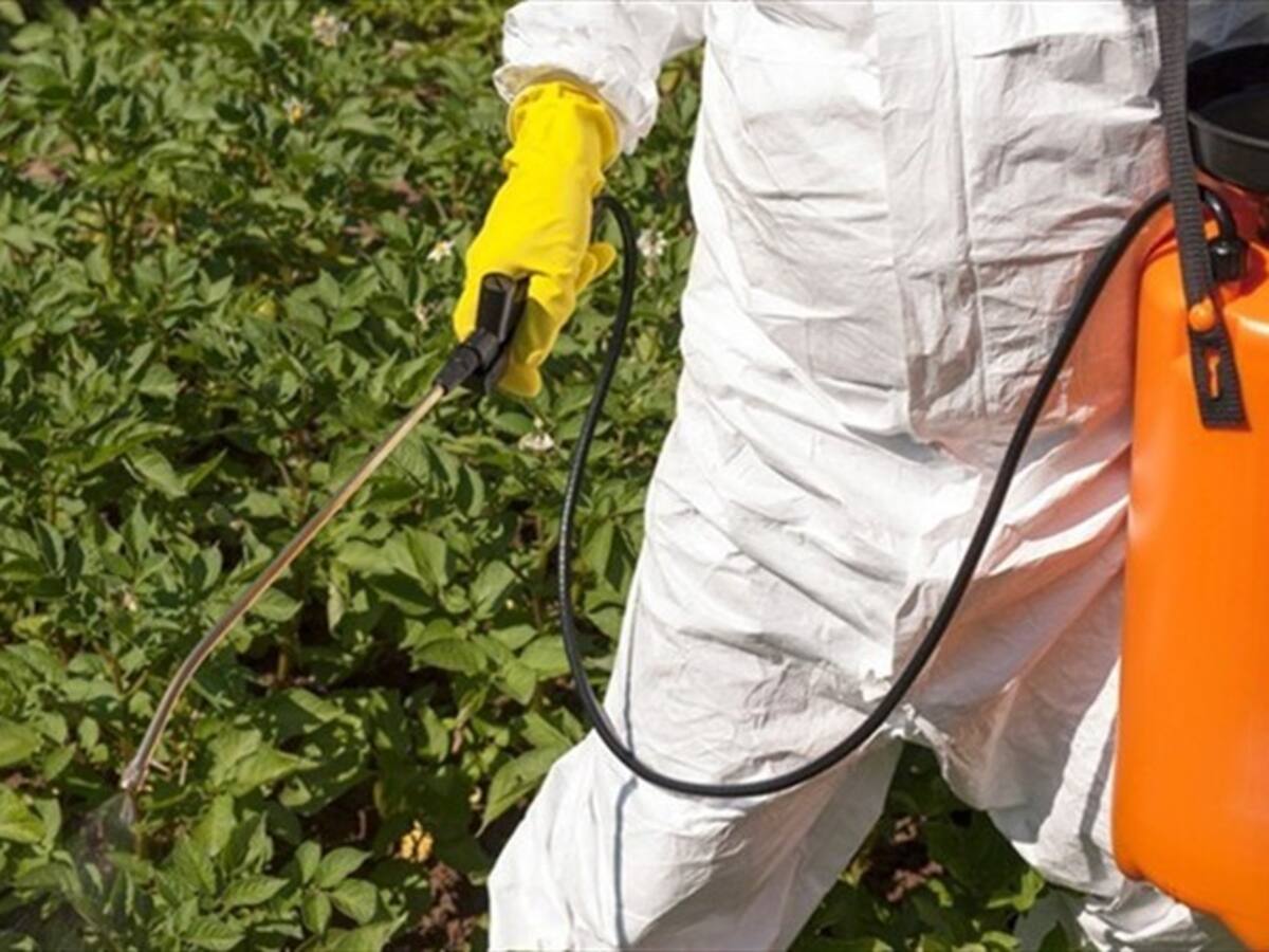 Sobre 15 días sin IVA, en Boyacá consideran que sería un alivio para la compra de insumos