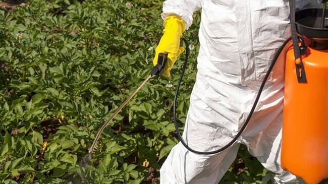 Según Arias los 15 días sin IVA podría ser aplicado también en implementos como empaques y logística como el transporte.. Foto: Getty Images