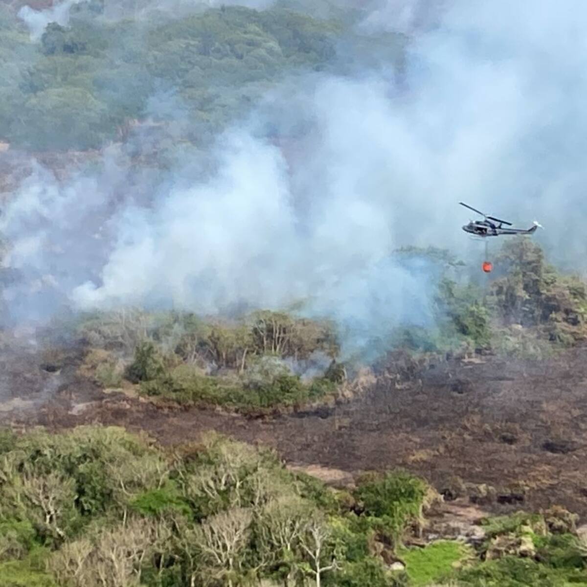 Se interpondrán acciones penales por incendios en Parque Isla Salamanca: MinAmbiente