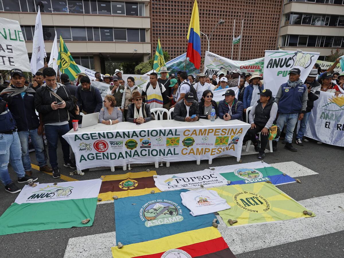 Con 31 puntos en el pliego de peticiones, más de 3.000 campesinos protestan en Bogotá