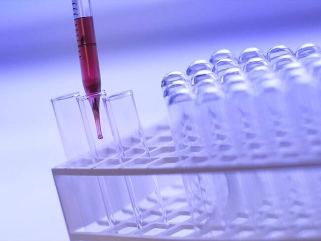 ¿Usted adoptaría un embrión? conozca este particular programa que se desarrolla desde 1997