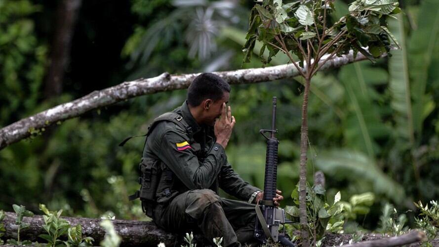 Policía Nacional, destrucción manual de cultivos ilícitos. Foto: Colprensa