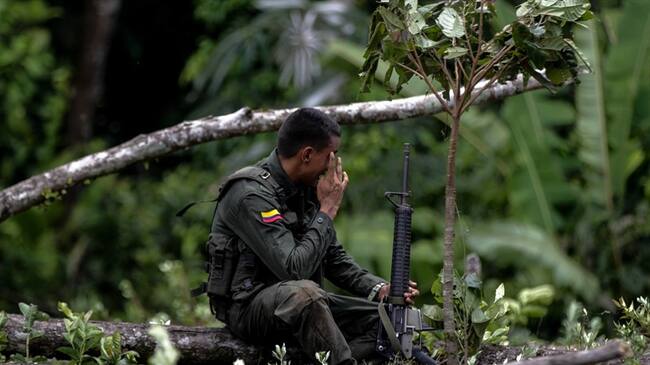 Policía Nacional, destrucción manual de cultivos ilícitos. Foto: Colprensa