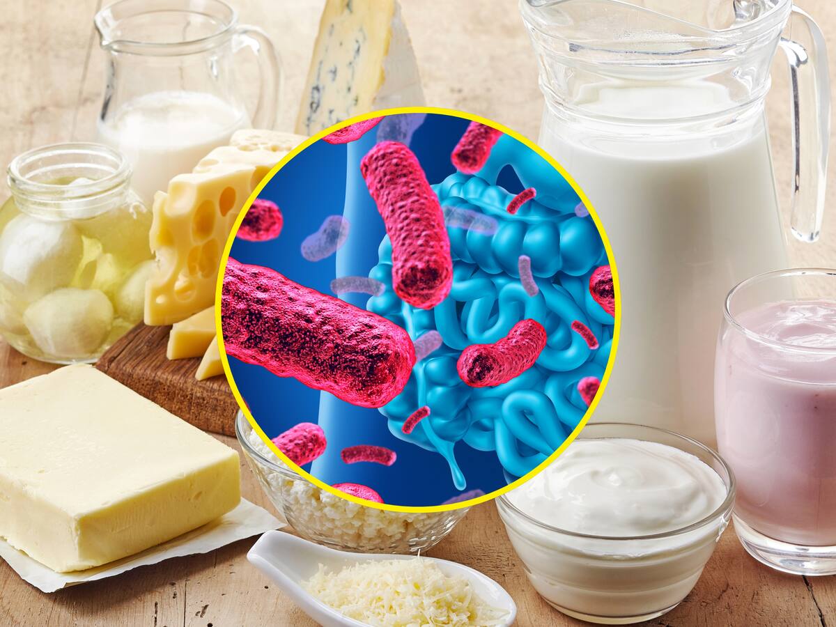 ¿Qué son los probióticos y cómo consumirlos? Experta explicó cómo aportan a la salud digestiva