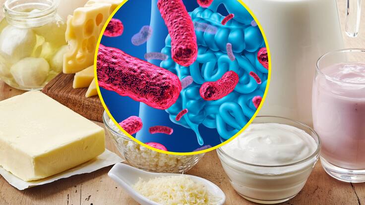¿Qué son los probióticos y cómo consumirlos? Experta explicó cómo aportan a la salud digestiva