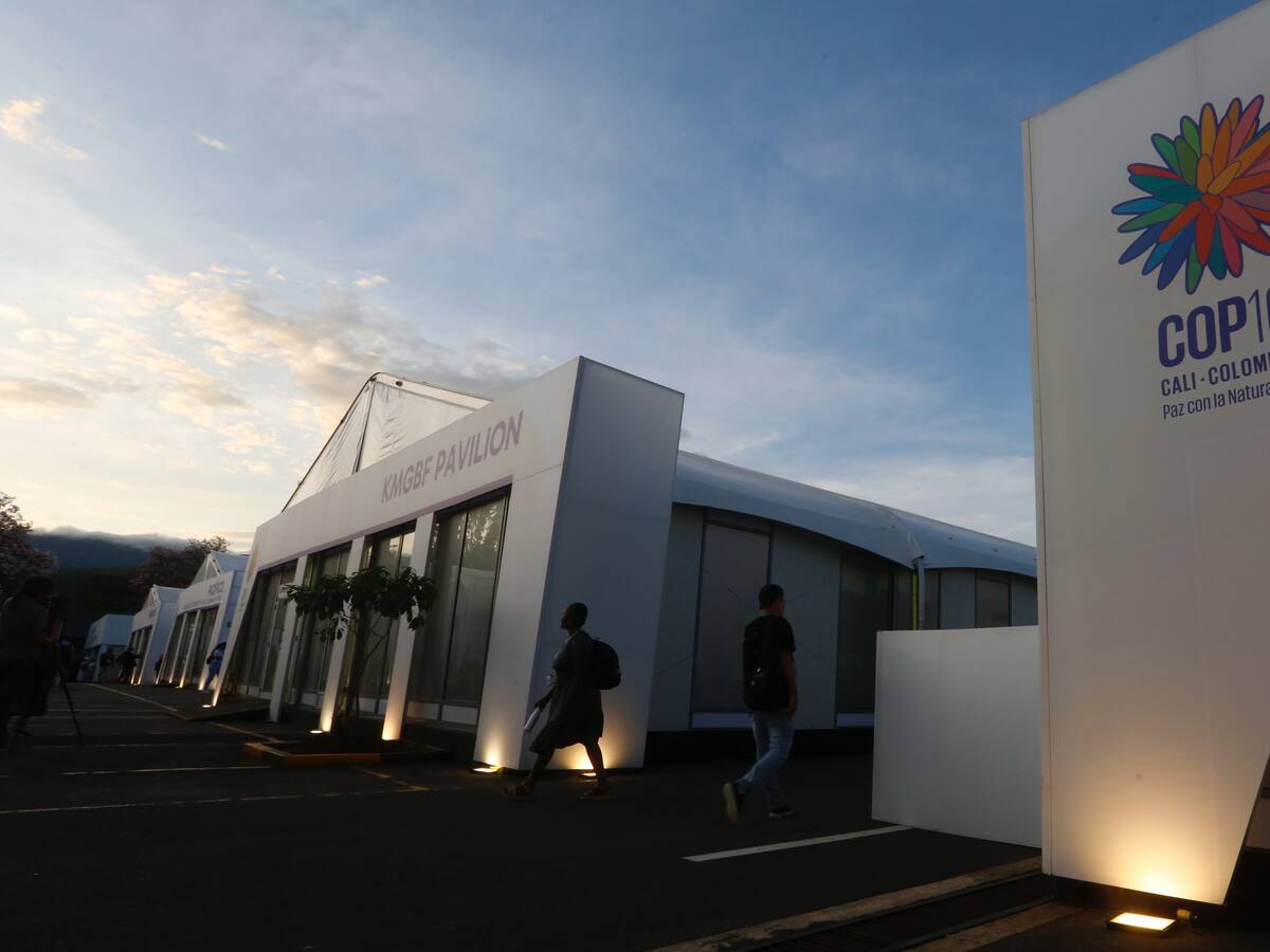 Finalizó la COP16 en Cali: Estos son los acuerdos