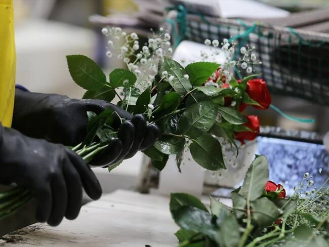 Minagricultura anunció millonaria cifra para la el apoyo a la comercialización de flores. Foto: Colprensa
