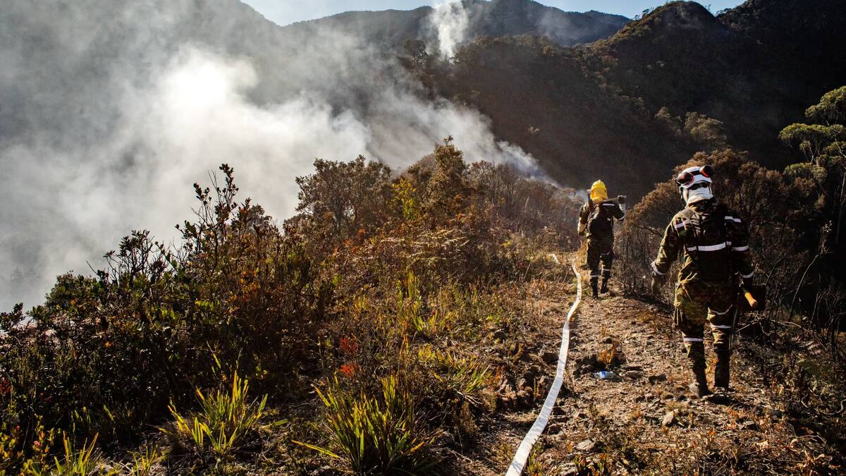 Alcaldía de Bogotá anuncia que incendio forestal en el Parque Entre Nubes está liquidado