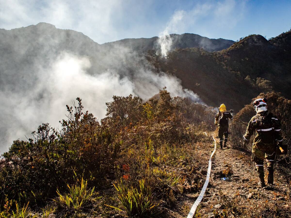 Alerta en Bogotá y Cundinamarca por nuevos incendios forestales