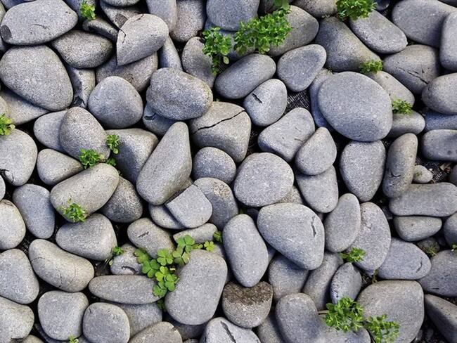 Así están fabricando papel a partir de piedras para mitigar la deforestación. Foto: Pixabay