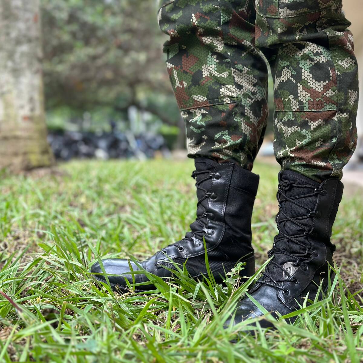 “Si no se desmantelan, los destruiremos”: Petro al Clan del Golfo tras ataque al Ejército