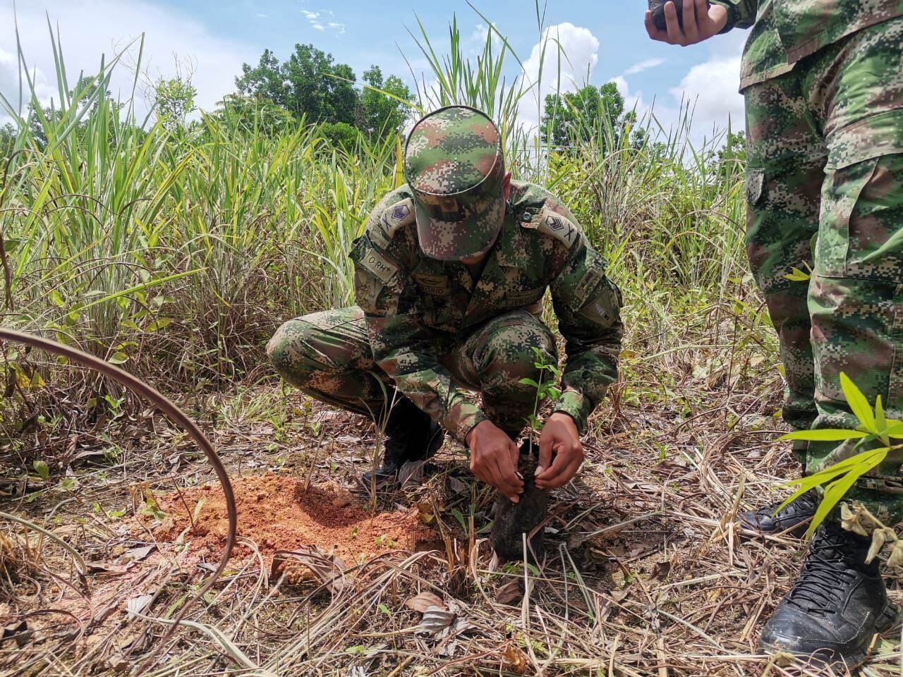 siembran más de 170.000 árboles en zonas afectadas por la minería ilegal en Córdoba y el Bajo Cauca antioqueño. Foto: Ejército Nacional.