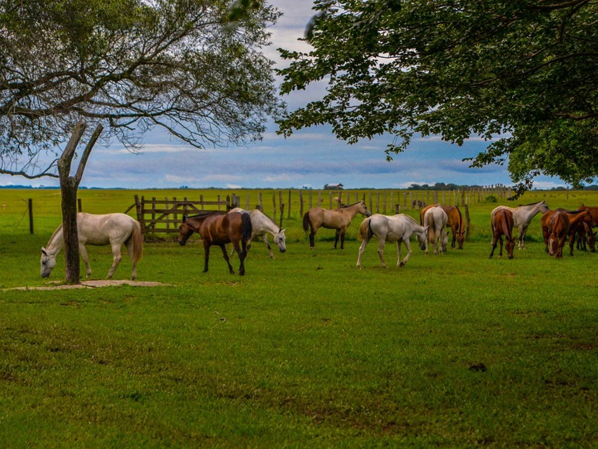 Casanare, promoviendo la cultura a través del turismo
