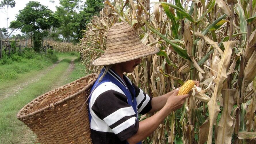 Imagen de referencia. Foto: Colprensa