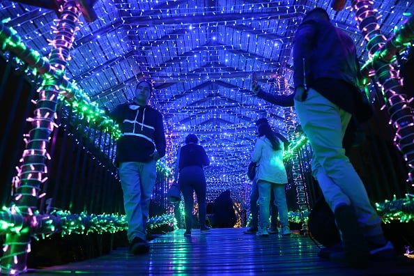 Con estos planes se divertirá en Bogotá este inicio de año. Foto: Getty