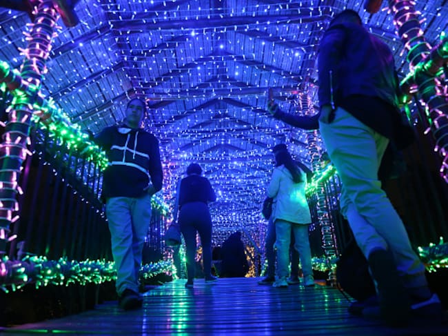 Con estos planes se divertirá en Bogotá este inicio de año. Foto: Getty