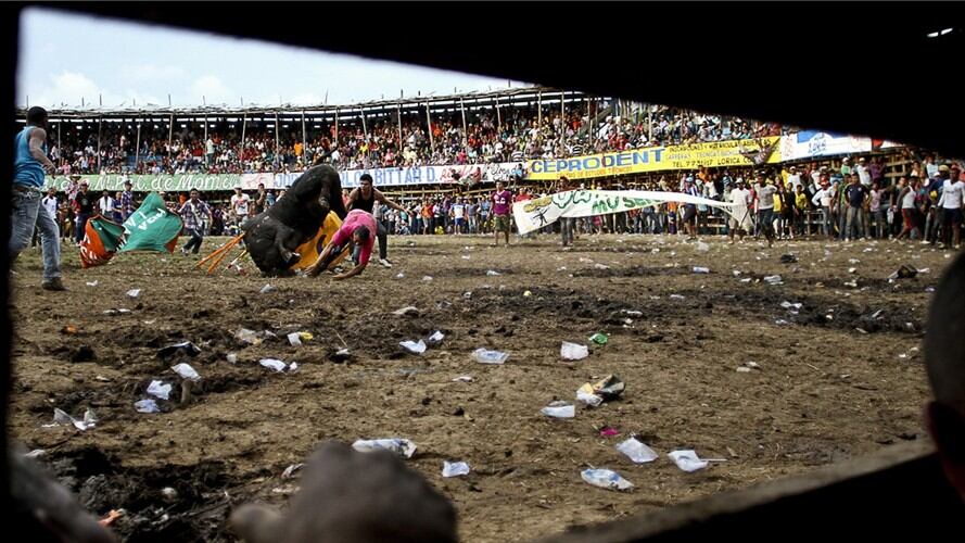 En lo que va corrido de las fiestas de las corralejas, 73 personas han resultado heridas. Foto: Getty Images
