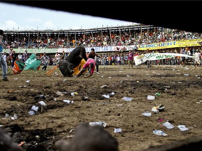 En lo que va corrido de las fiestas de las corralejas, 73 personas han resultado heridas. Foto: Getty Images