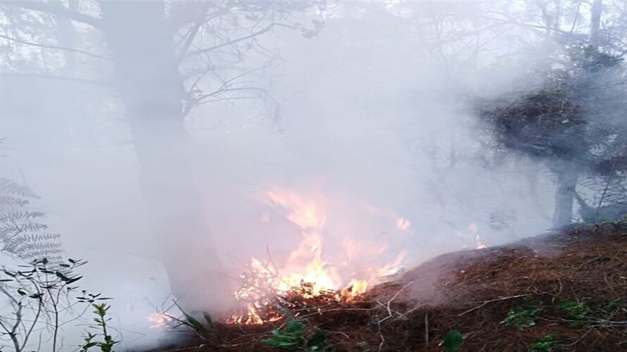 En Charta, Santander , se presenta un incendio que ha consumido cerca de 25 hectáreas y amenaza con llegar a la parte baja del páramo de Santurbán.. Foto: Suministrada.