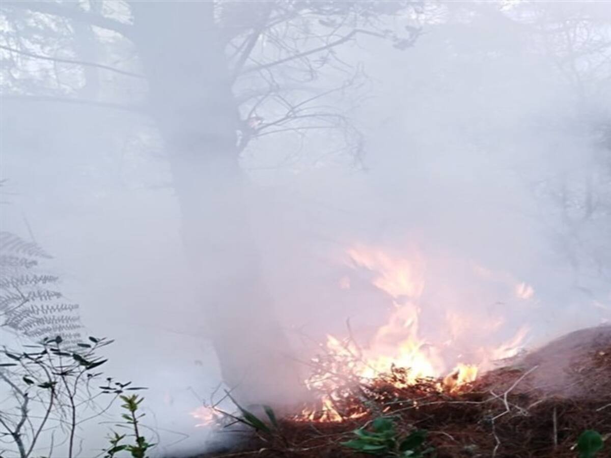 Incendio en Charta amenaza con afectar la parte baja del páramo de Santurbán