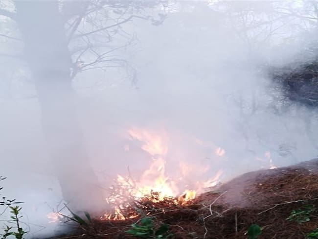 En Charta, Santander , se presenta un incendio que ha consumido cerca de 25 hectáreas y amenaza con llegar a la parte baja del páramo de Santurbán.. Foto: Suministrada.
