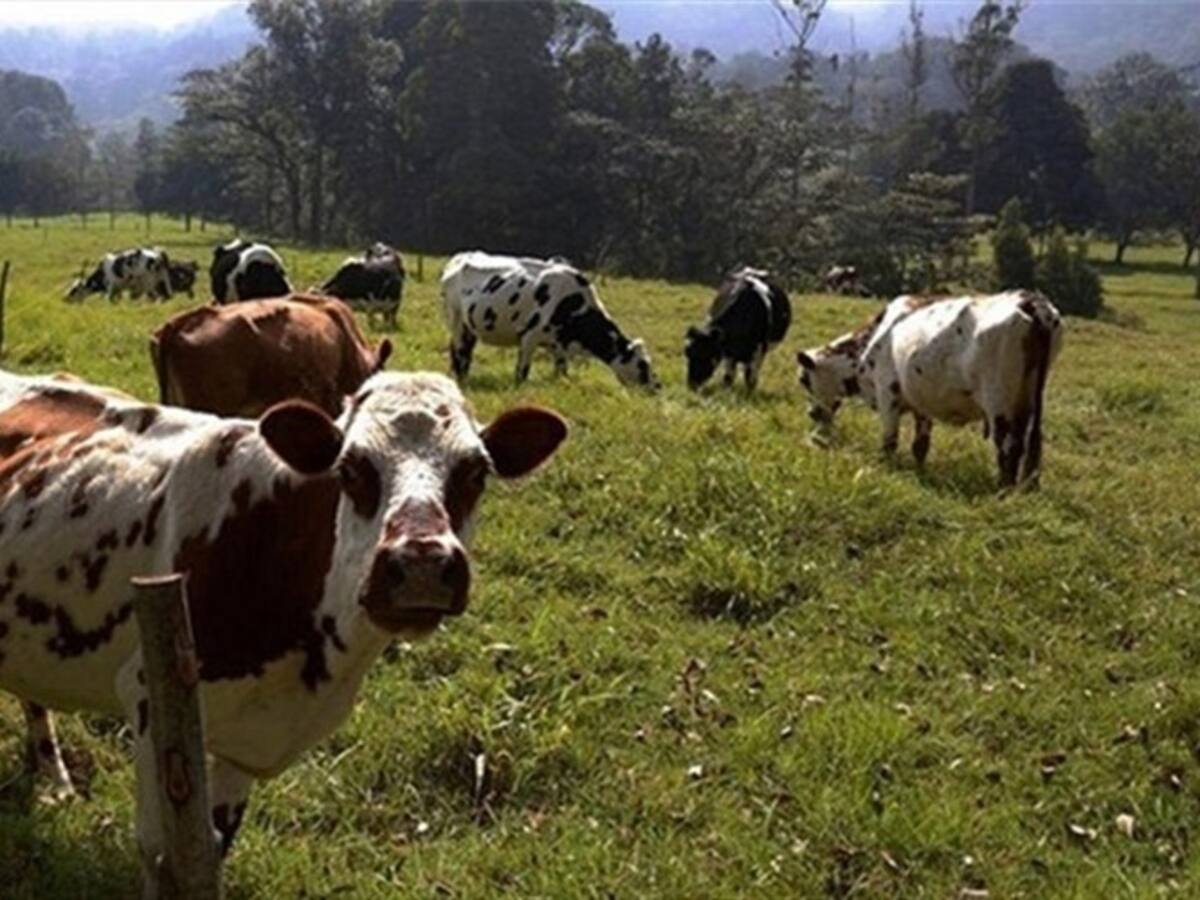 Inicia entrega de ayudas a más de 10.800 productores afectados por heladas en Boyacá
