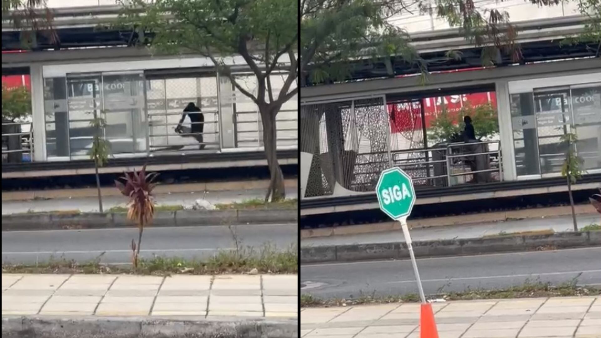 Siguen desvalijando las estaciones de Metrolínea. Fotos: Pantallazo vídeo.