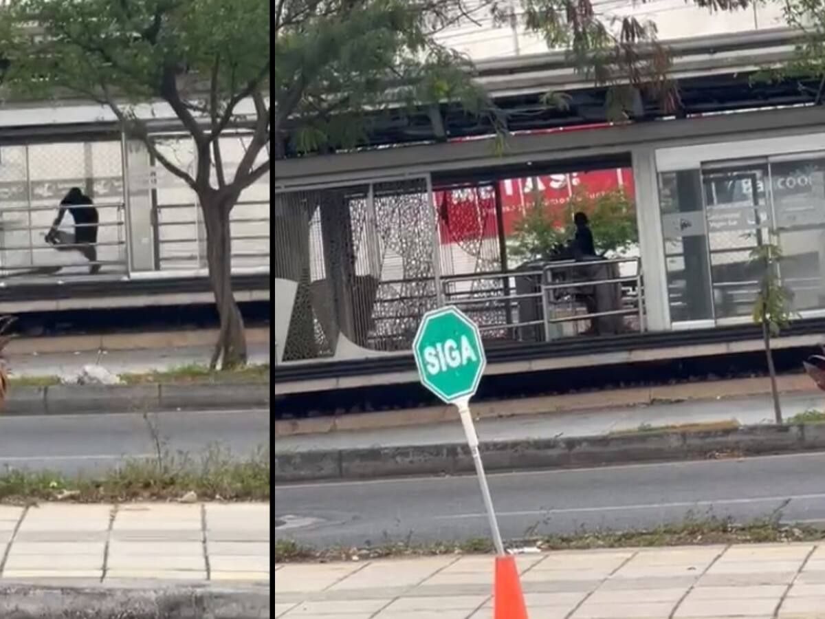 Video: siguen desvalijando las estaciones del Metrolínea