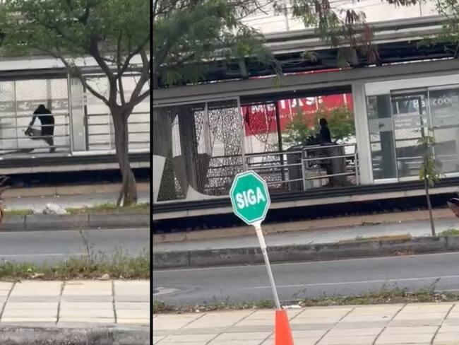 Siguen desvalijando las estaciones de Metrolínea. Fotos: Pantallazo vídeo.