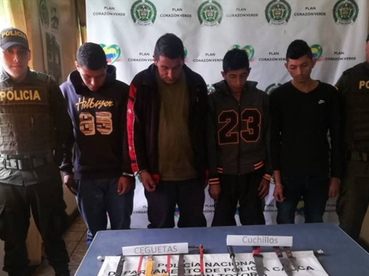 Cárcel para cuatro sujetos dedicados al abigeato en Totoró, Cauca