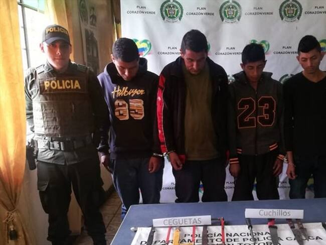 Fueron capturados cuatro sujetos por hurtar ganado en Totoró. Foto: Policía Nacional