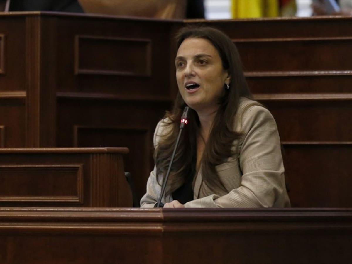 Karen Abudinen le dijo a la Corte que no recibió presión de algún congresista