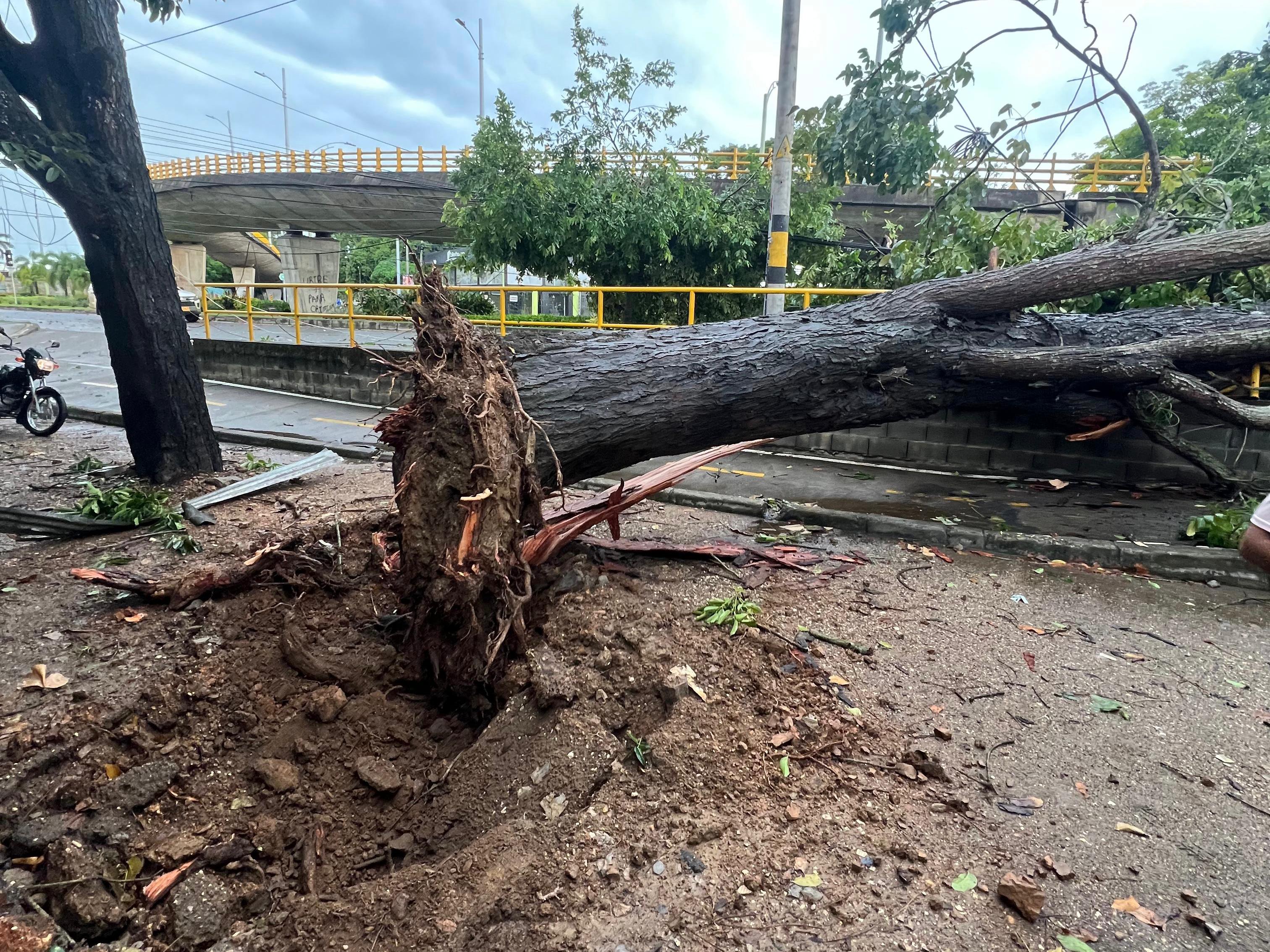 Fuertes lluvias e intentos vientos generaron emergencia en Montería: dos niñas resultaron heridas. Foto: prensa Alcaldía de Montería.