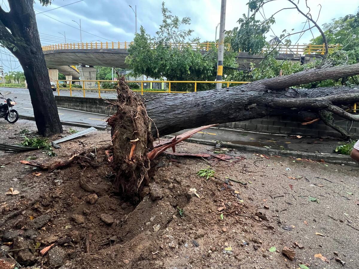 Fuertes lluvias e intentos vientos generaron emergencia en Montería: dos niñas resultaron heridas
