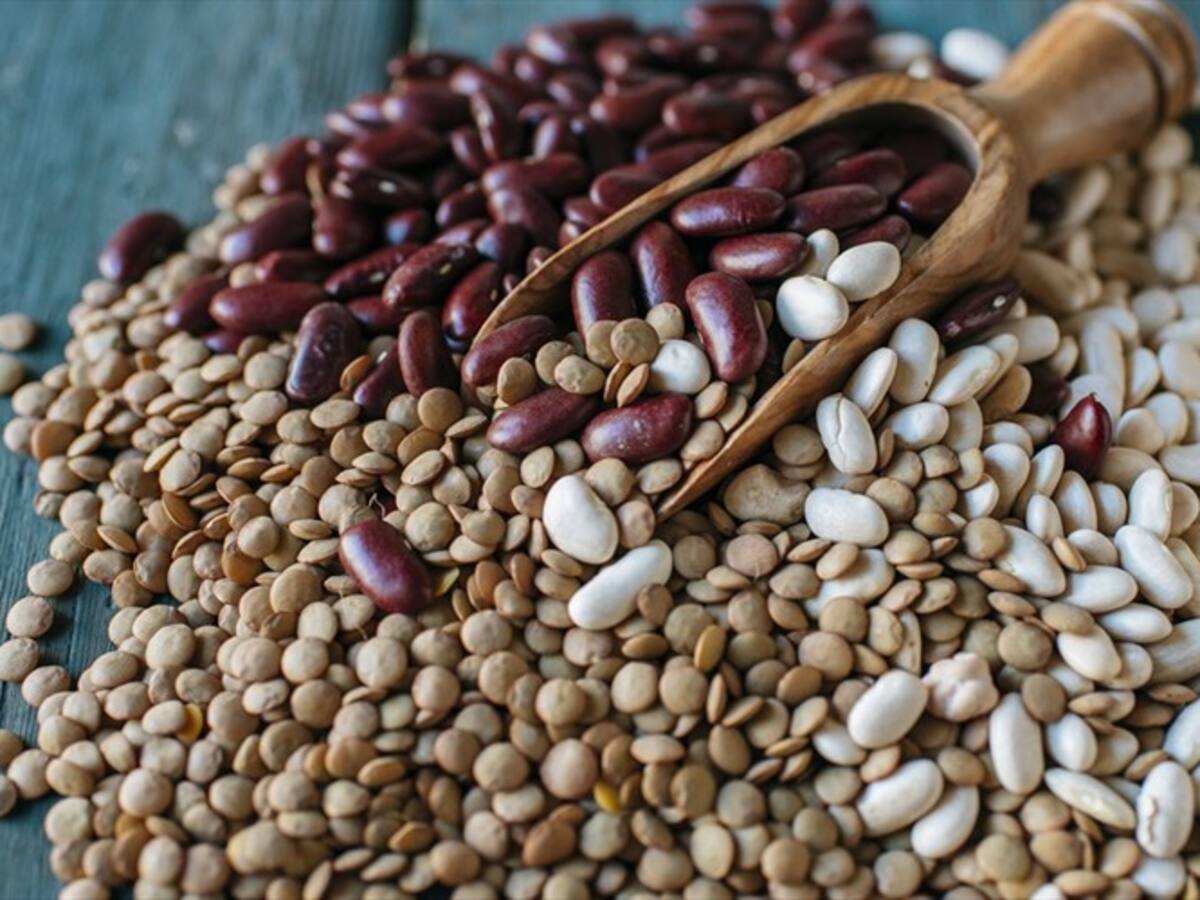 ¿Cuáles son los beneficios del frijol en la salud?