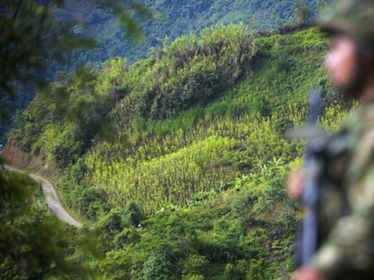 Militarizada permanece zona del sur de Córdoba ante intimidaciones de grupos ilegales