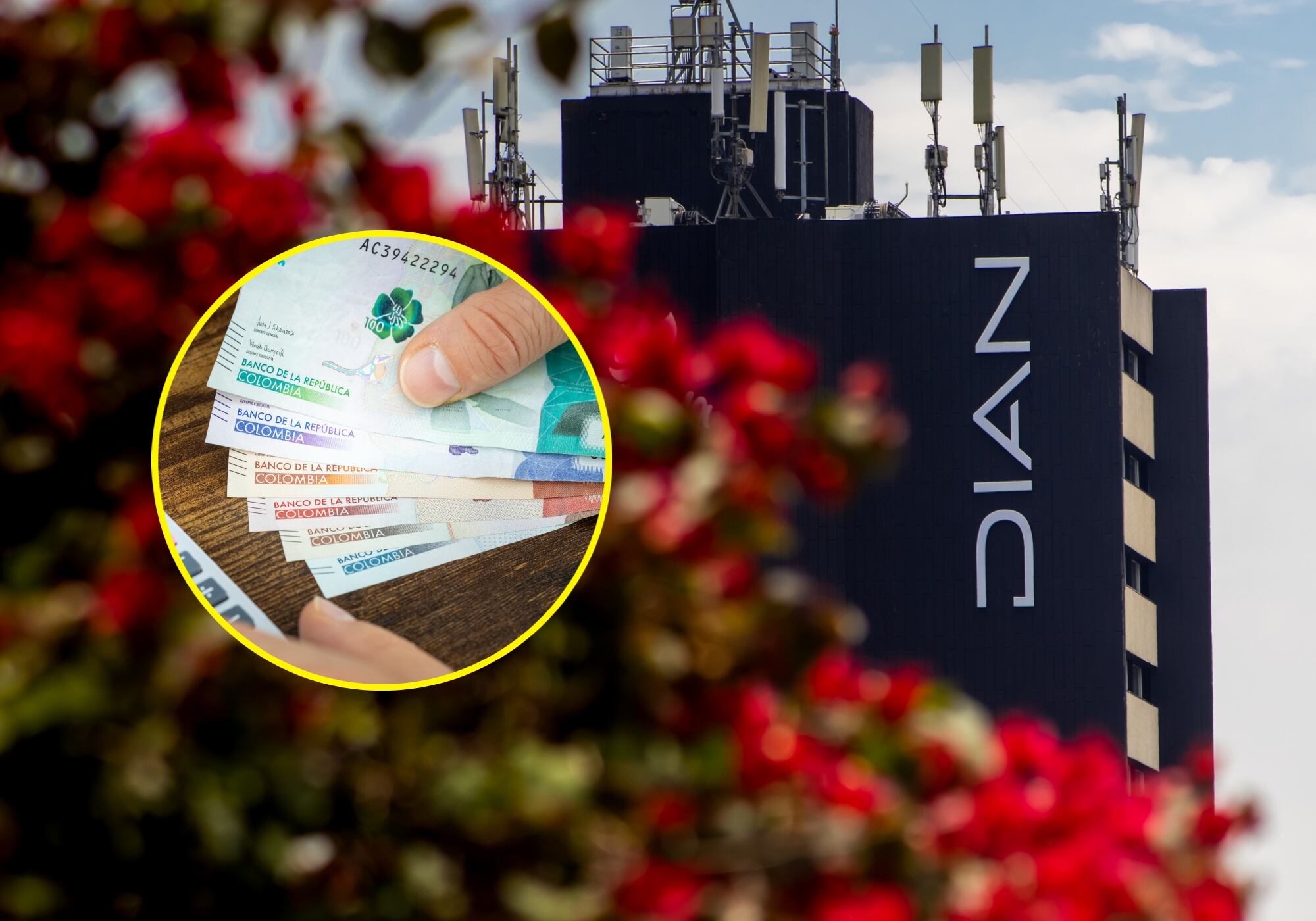 Imagen de referencia de la Dian. Foto: Getty Images.