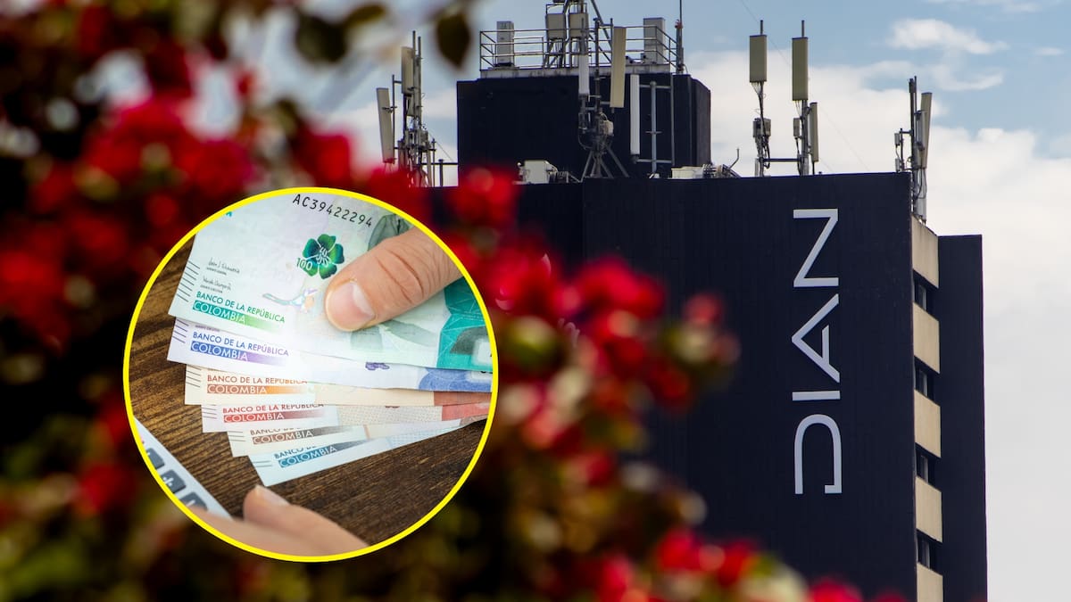 Dian dejó perder $44.000 millones por error que favoreció a empresa, alerta entidad que la vigila