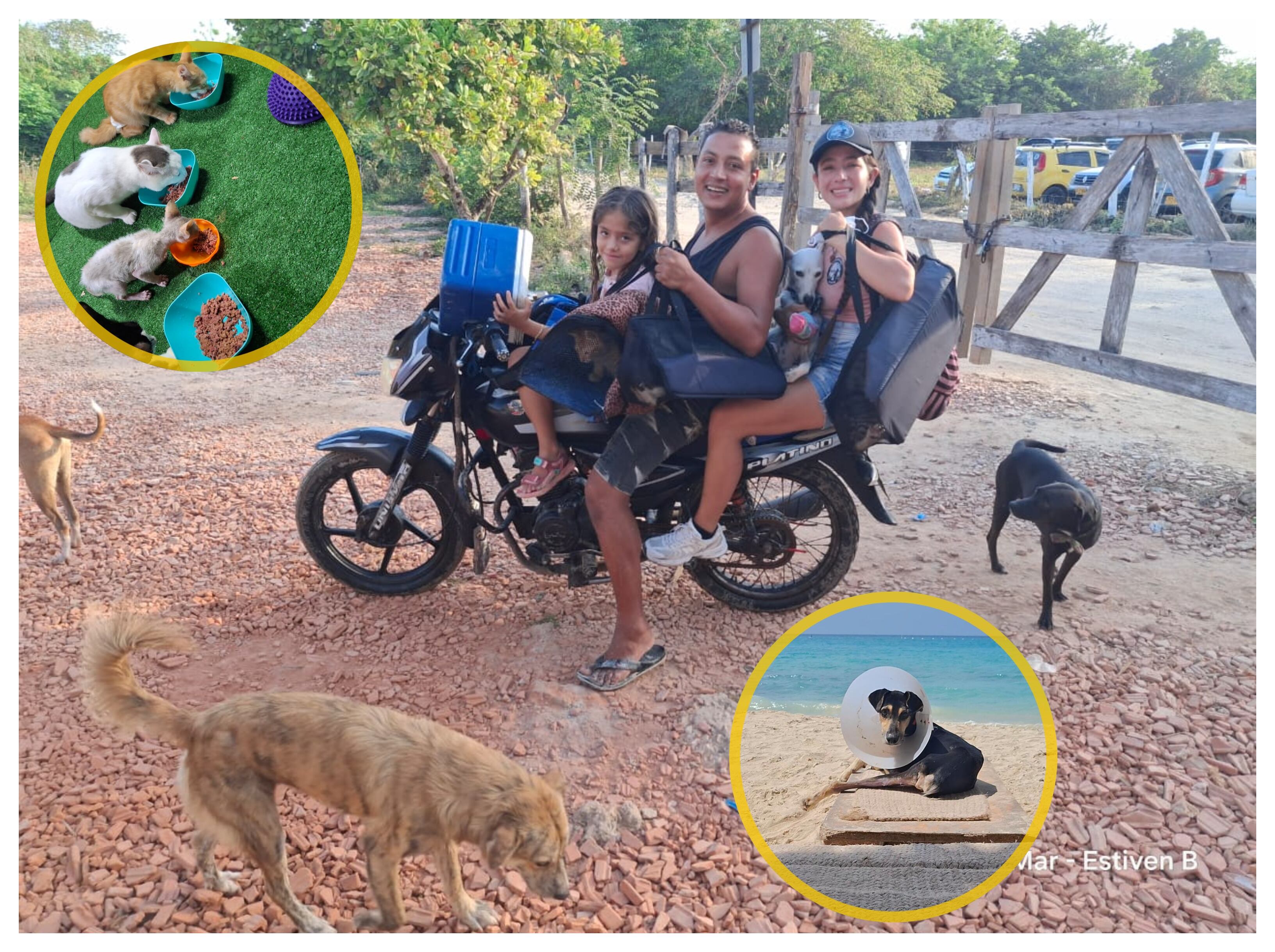 Albergue de animales. FOTO: W Radio