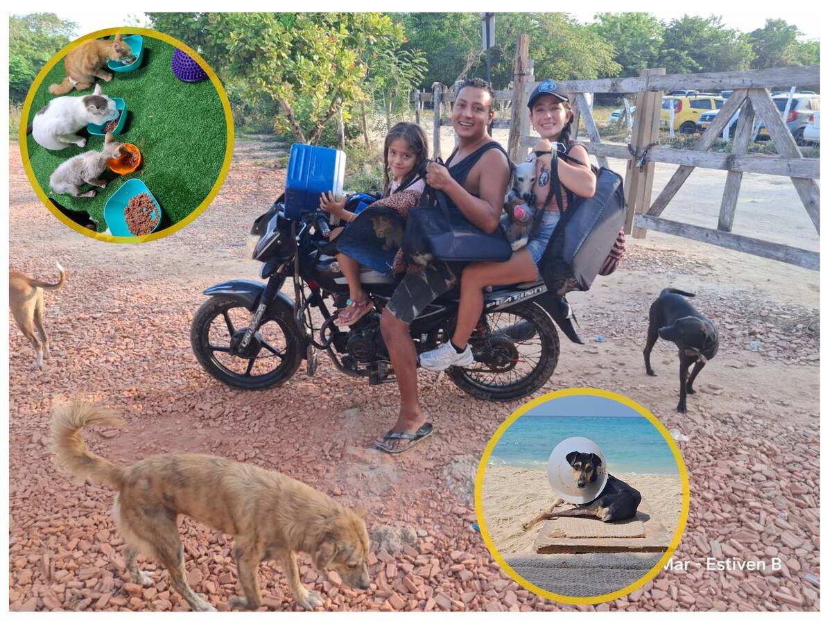 Soluciones W: Albergue animal y Gesto Agro se unen para seguir salvando vidas en Barú