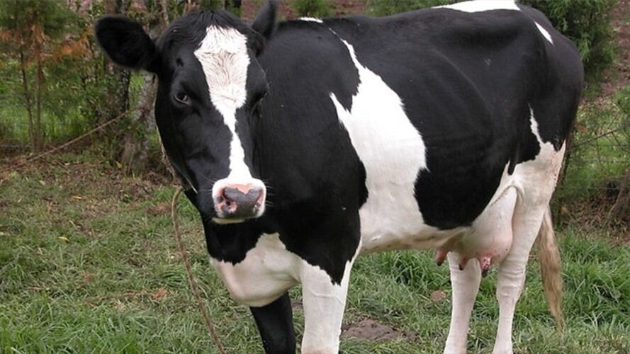 Imagen de referencia. Foto: Colprensa